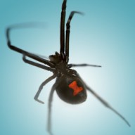 RedHourglass_AlanBissett